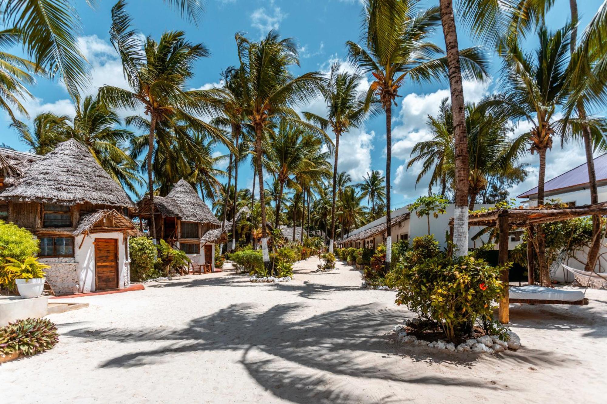 Maisha Matamu Beach Hotel Paje Kültér fotó